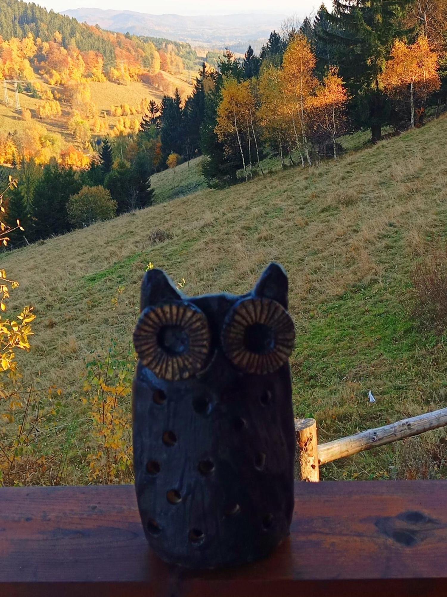 Sowi Stok Dom wakacyjny Sokolec